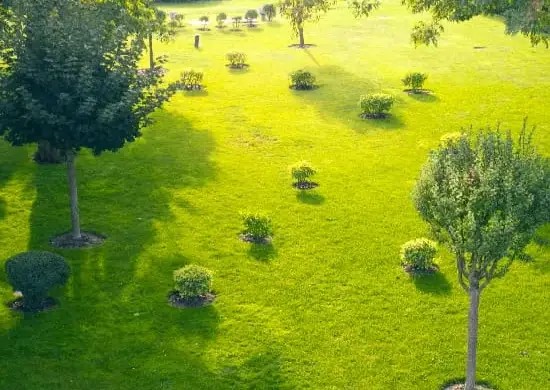 Central Park